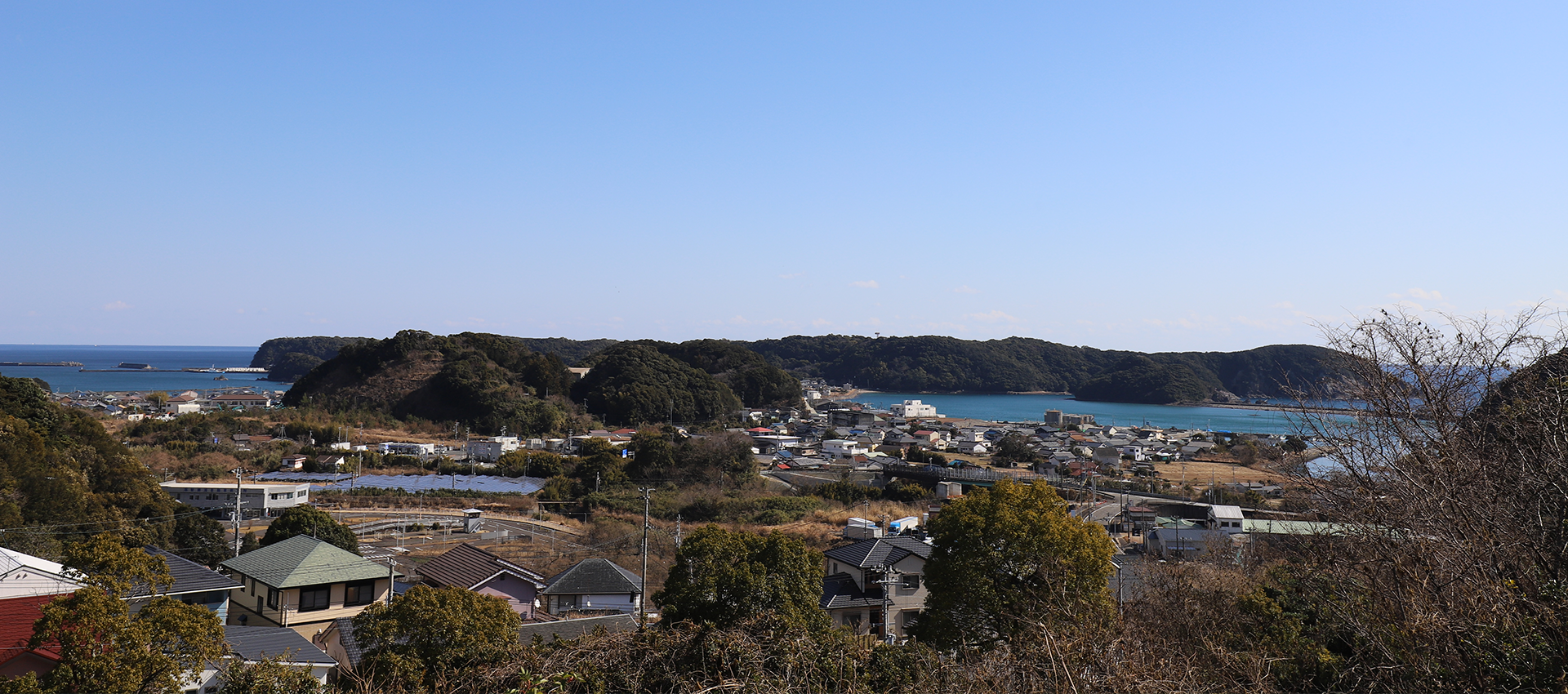 庵野組